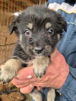 611268484 25650746164565968 3089362180727889775 n