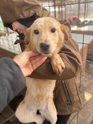 611310191 25640818245558760 4425288272652487405 n (1)