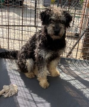 611349986 25624935113813740 7312214337180804046 n