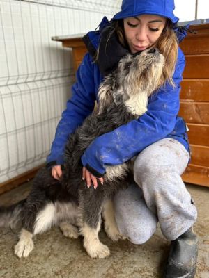 611548441 25637296992577552 2395436218955430442 n