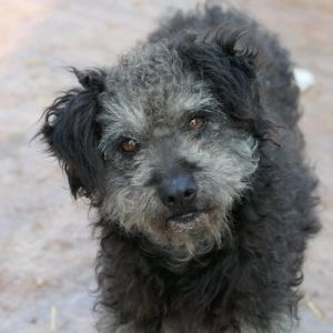 611585939 25624934267147158 4148532152525153470 n