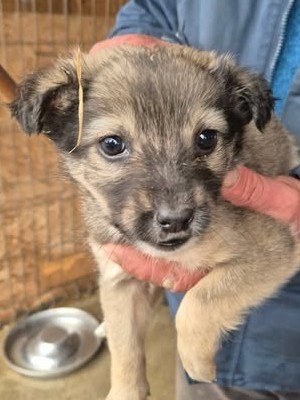 611656415 25650559764584608 2202594101700509494 n