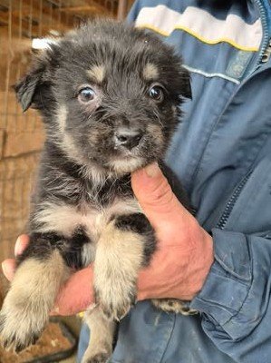 611724607 25650747514565833 4715350250916785773 n