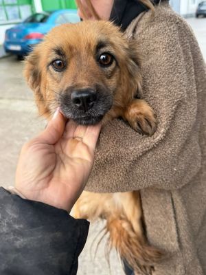 611783246 25641357628838155 7799671349968887302 n