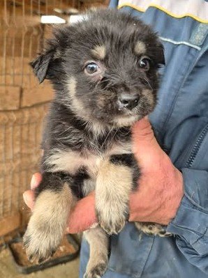 611812254 25650746167899301 8975538477476101134 n