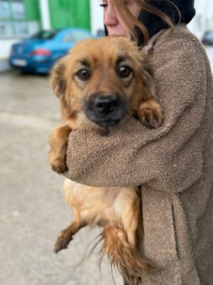 611844684 25641357825504802 7620473869367579849 n