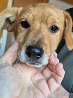 611863737 25650406371266614 3395943972052754297 n