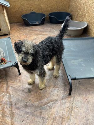 612008410 25624934573813794 1572656455703507817 n