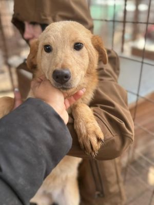 612033869 25640818778892040 4748267964928272529 n