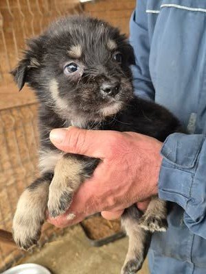 612079272 25650747154565869 8976436700358387061 n