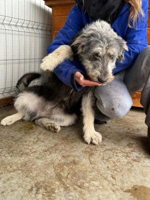 612106064 25637297235910861 1600113487732061682 n