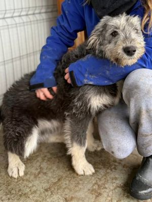 612107359 25637297255910859 8458108110744789653 n