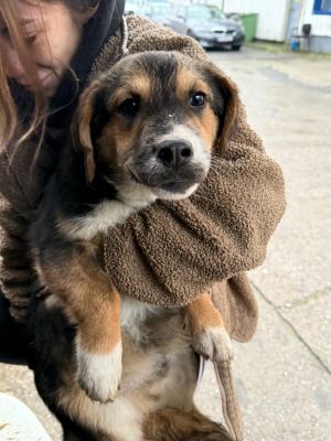 612178293 25641222512185000 3251060752511602286 n