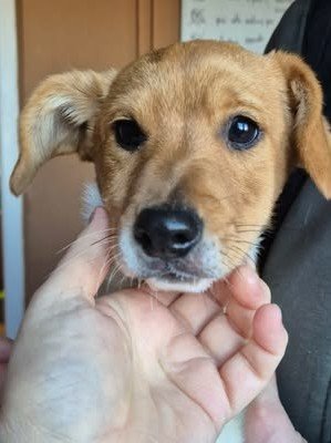 612248601 25650405987933319 2405647942235375154 n