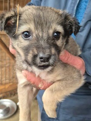 612301457 25650559984584586 1534290083182800452 n