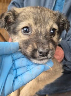 612319392 25650560024584582 7401700581661567016 n