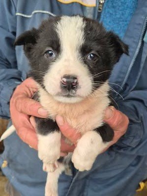 612354509 25650519884588596 5358147020985889332 n