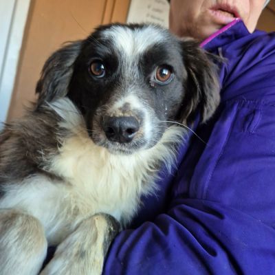 612376982 10242240135406009 2304081249314472376 n