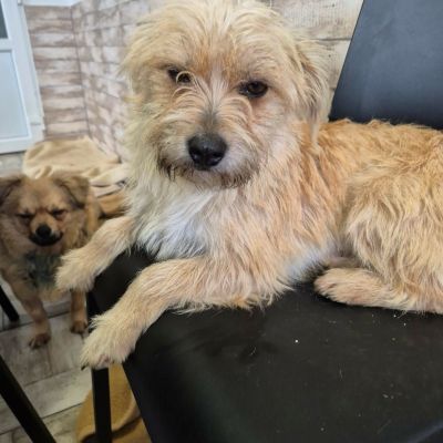 612541851 2147893329077387 7152966982097910905 n