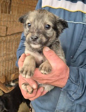 612675196 25650602844580300 2641840992056424982 n