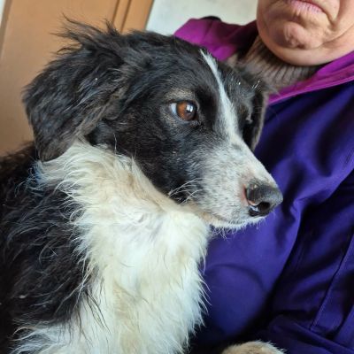 612731751 10242240024963248 813137763794123142 n