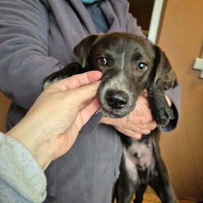 612815025 4181619682059309 151524911007649213 n