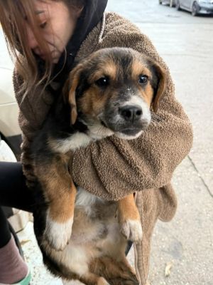 612882645 25641222592184992 1211615126917271831 n