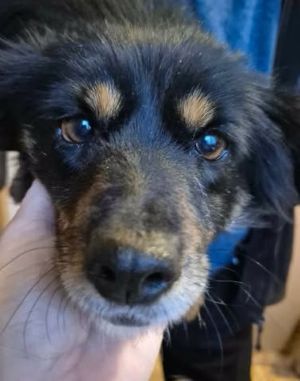 612920637 25659064117067506 4132015593685223396 n