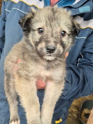 613019818 25650702514570333 15354013420291744 n