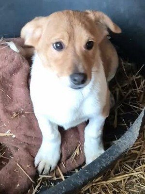 613038892 1953657908521779 8468224763830444670 n