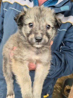 613123999 25650702287903689 138328547971520979 n