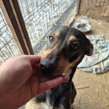 613175826 2070105423774572 8369606353159011901 n