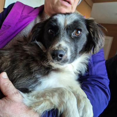 613185088 10242240137606064 4182308962026027542 n