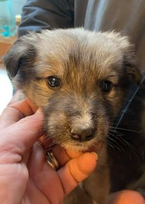 613187176 25650603031246948 8558720548011334979 n