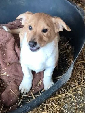 613216023 907127051790804 7107005518266174943 n