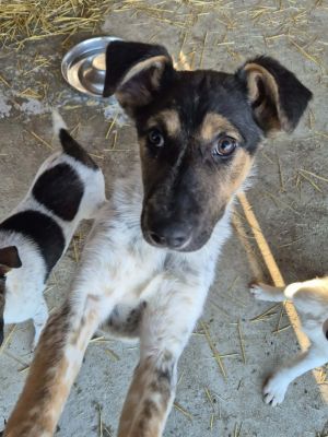 613347564 1707574587285285 2014908468513799777 n