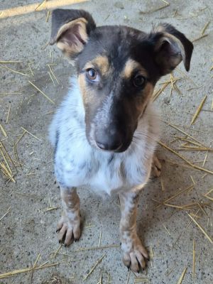 613349551 2396884217497959 3116290620177519498 n