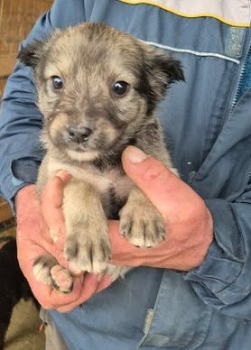 613360864 25650603011246950 940515555724815633 n