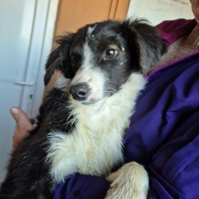 613613223 10242240026563288 8471710825148028012 n