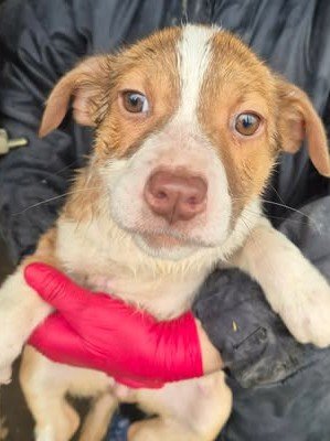 613683999 25682457238061527 1282731310089738051 n