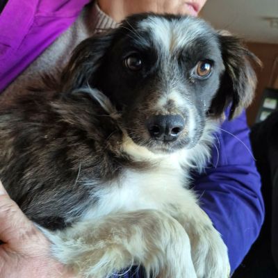 613825720 10242240137206054 8547892812506192316 n