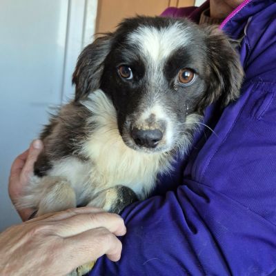 614075327 10242240136406034 2235203581002226684 n