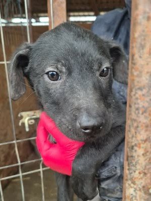 614154265 25682149171425667 6860381119356797077 n