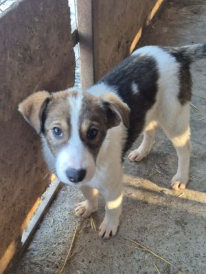 614247361 1393297152262923 1236111902870668825 n