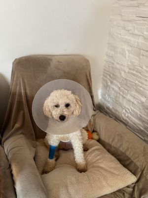 614290953 831565779914831 3086582165659606462 n