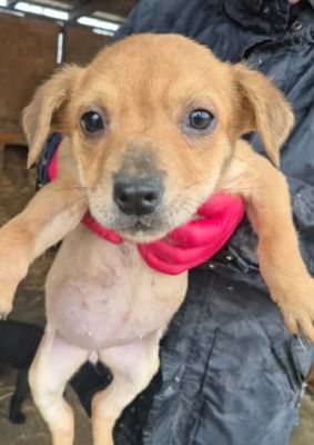 614399850 25682321374741780 7619783799056623927 n