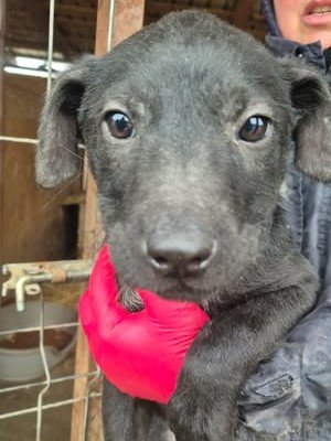 614411008 25682148271425757 4950695671991728901 n