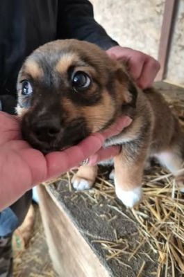 614659207 867306546144771 4299722291181791430 n