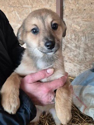 614789634 873090922143739 3093172433677009800 n (1)