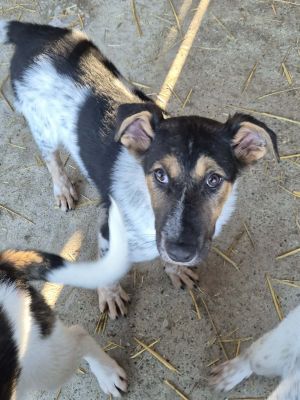 614856336 25632087506457775 36814114502164335 n